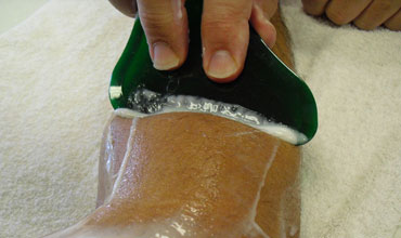 Gua Sha Tool